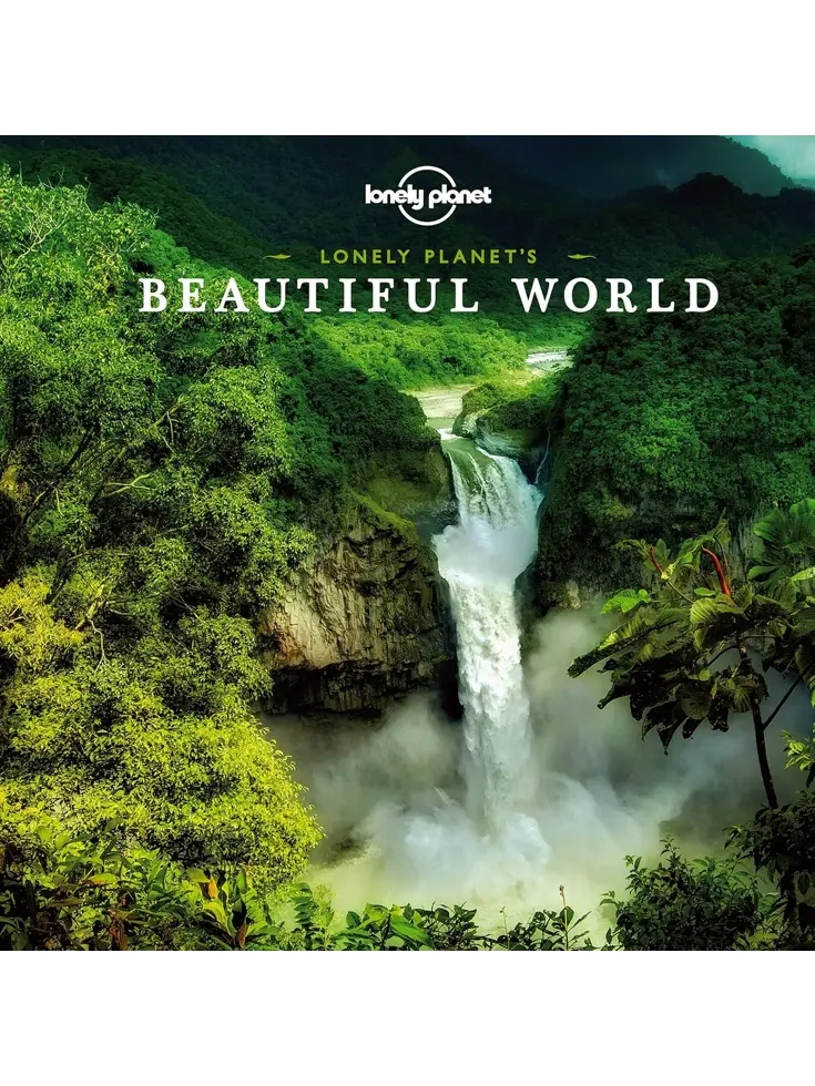 Beautiful World MINI