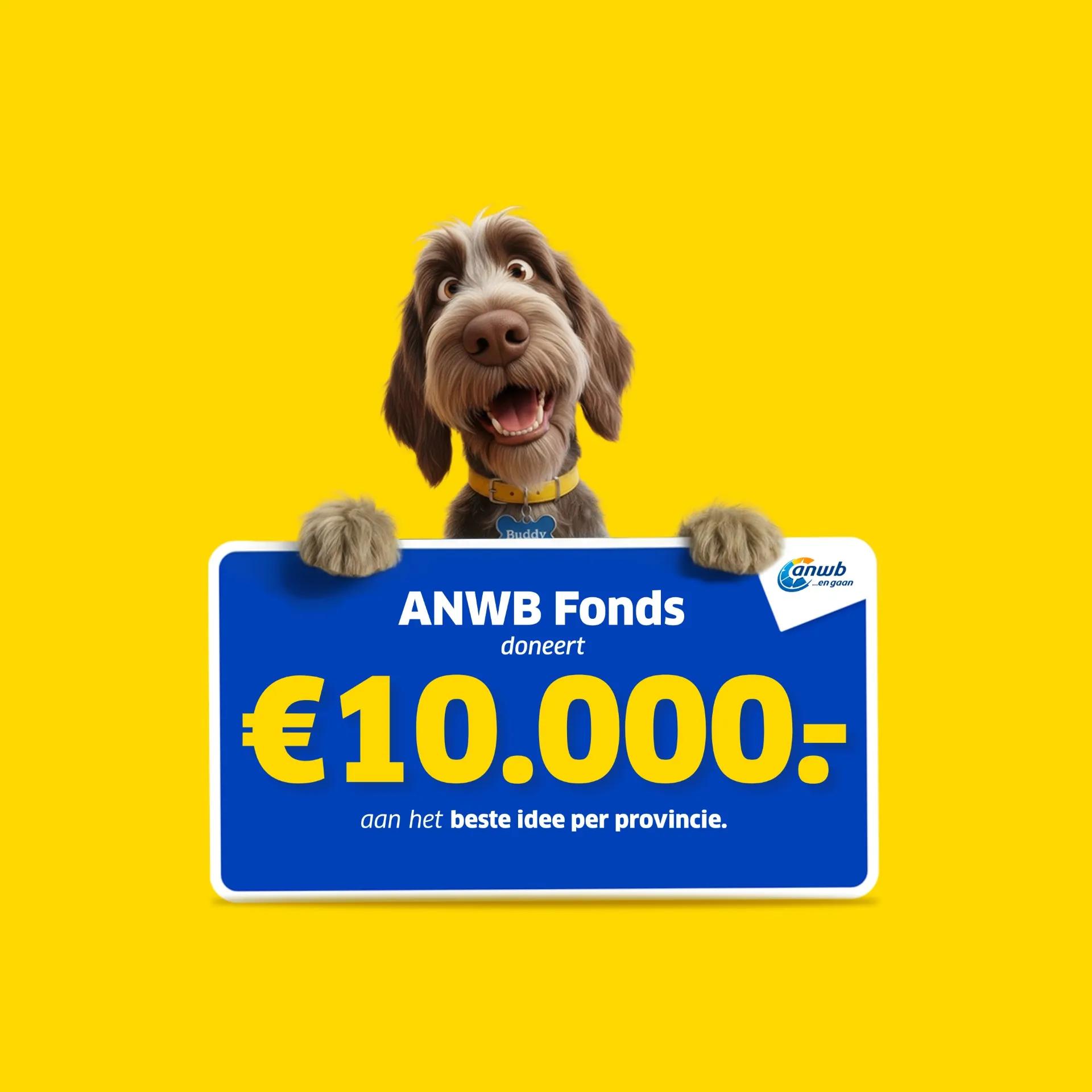 Het ANWB Fonds doneert per provincie €10.000 aan het beste maatschappelijke idee
