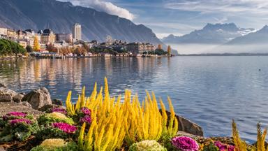 zwitserland_vaud_montreux_meer-van-geneve_bloemen_stad_uitzicht_pixabay