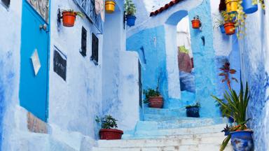 marokko_chefchaouen_trap_blauwe-muren_bloemen_straatje_potten_deur