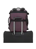 Dita Reistas / 24 L
