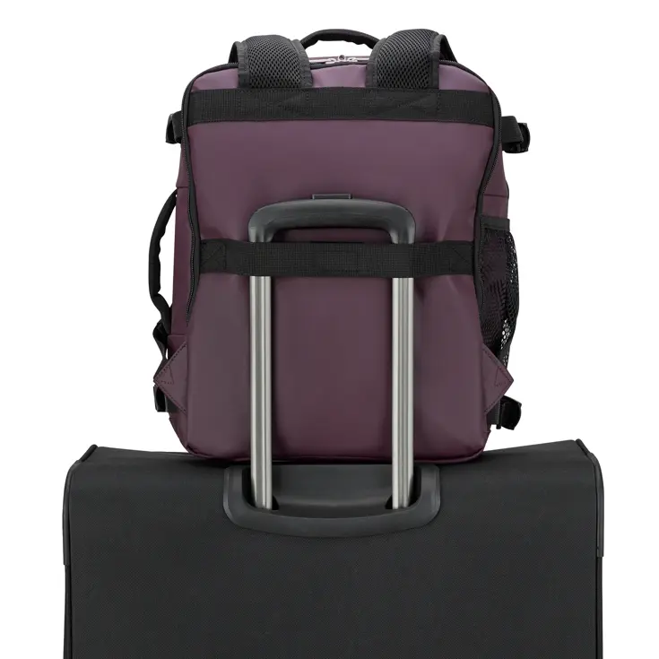 Dita Reistas / 24 L