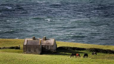 sfeer_ierland_county-clare_doolin_weide_paarden_tourism-ireland.jpg