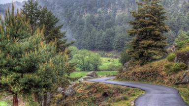 spanje_castillie-en-leon_avila_sierra-de-gredos_weggetje_bomen_mist_pixabay.jpg