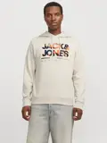 Heren Luke Sweat Hood