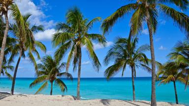 cuba_varadero_strand met palmen_b (2)
