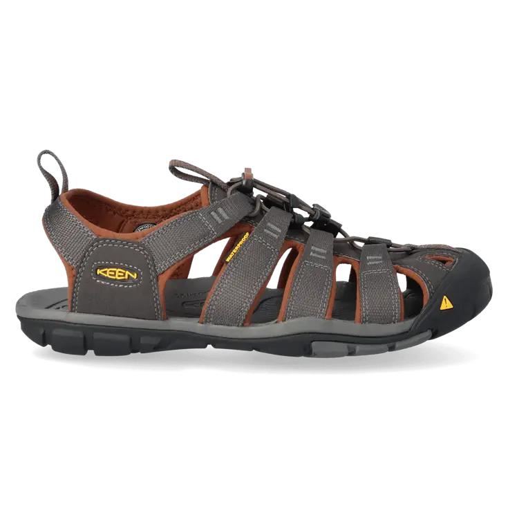 Clearwater CNX - Wandelschoenen - Heren