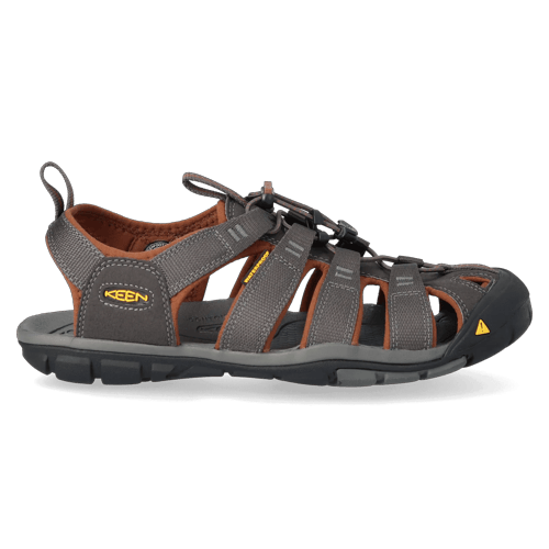Clearwater CNX - Wandelschoenen - Heren