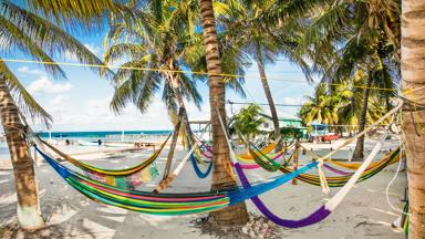 belize_caye-caulker-island_eiland_tropisch_strand_hangmatten_palmomen_zee_shutterstock