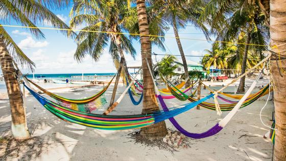 belize_caye-caulker-island_eiland_tropisch_strand_hangmatten_palmomen_zee_shutterstock