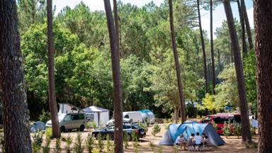 camping_frankrijk_landes_bias_camping-municipal-le-tatiou_c (8)