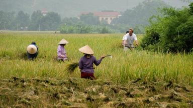 vietnam_mai chau_fietsen_a