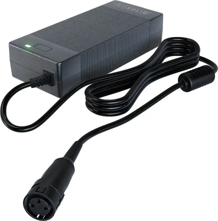 Lader geschikt voor Gazelle Innergy 48V2A