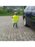 Universeel Veiligheidsvest Junior Geel 158 cm