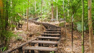 maleisie_west-maleisie_taman-negara_regenwoud_jungle_wandelen_boardwalk-naar-canopy-walk_shutterstock_1.jpg