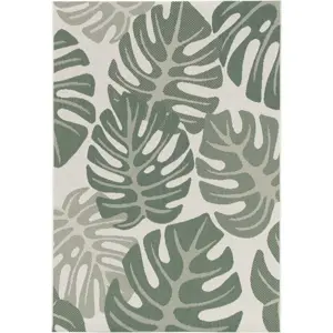 Naturalis buitenkleed 200x290