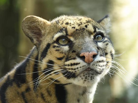 Impressie van Dierenpark ZiE-ZOO