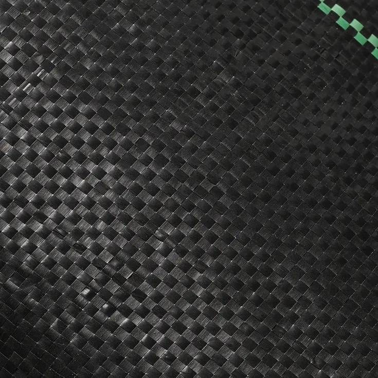 ProPlus Grondzeil - 2.5x5m - Tentzeil