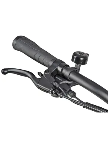 SAXXX Comfort Sport Easy dames ebike 7 sp 13Ah