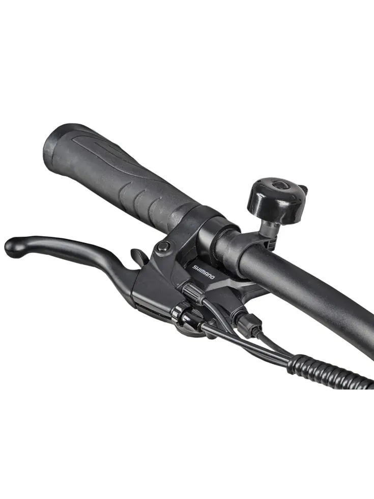 SAXXX Comfort Sport Easy dames ebike 7 sp 13Ah