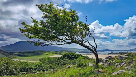 Ierland-County-Mayo-Louisburg-The-Lost-Valley (2)