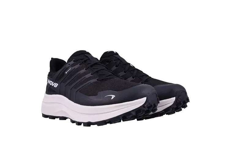 Roclite Max GTX - Wandelschoen heren