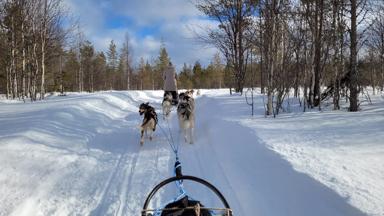 finland_posio_huskysafari_1