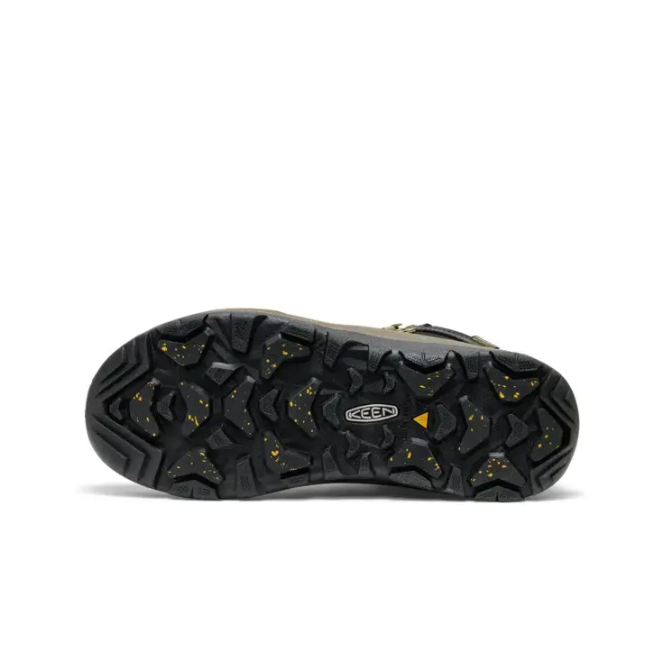Revel IV Mid Polar - Wandelschoenen - Heren