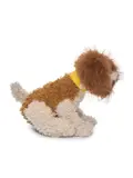 Buddy - Knuffel - ANWB