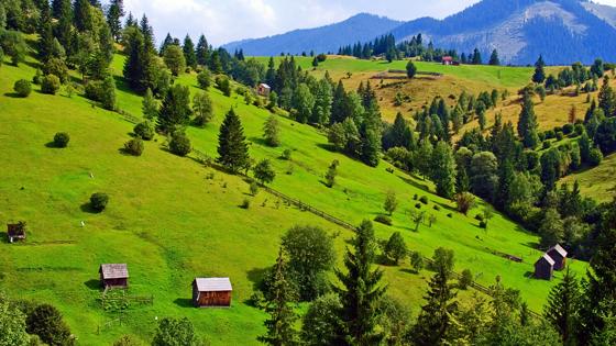 roemenie_bucovina_landschap_bergen_shutterstock