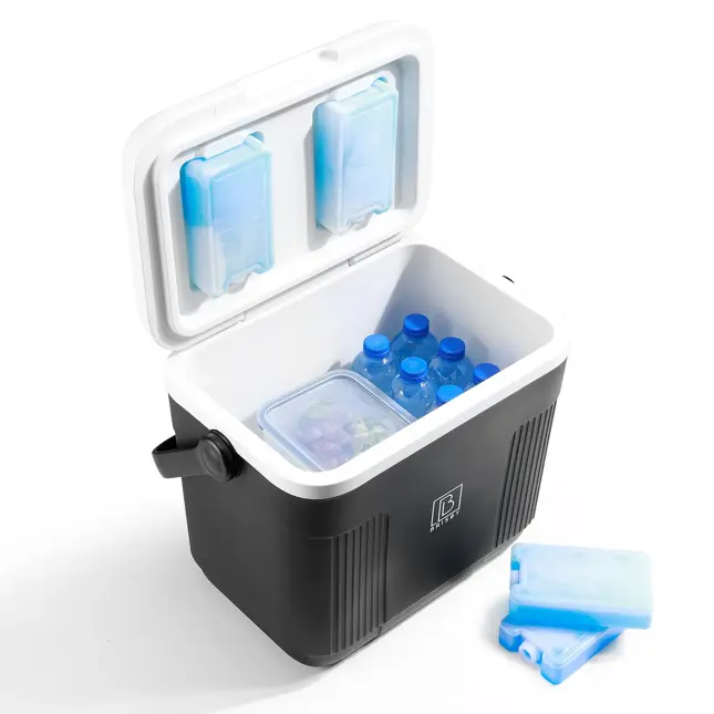 Koelbox - Lunchbox - 22L