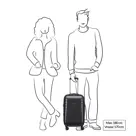 Delsey Segur koffer / 46 L