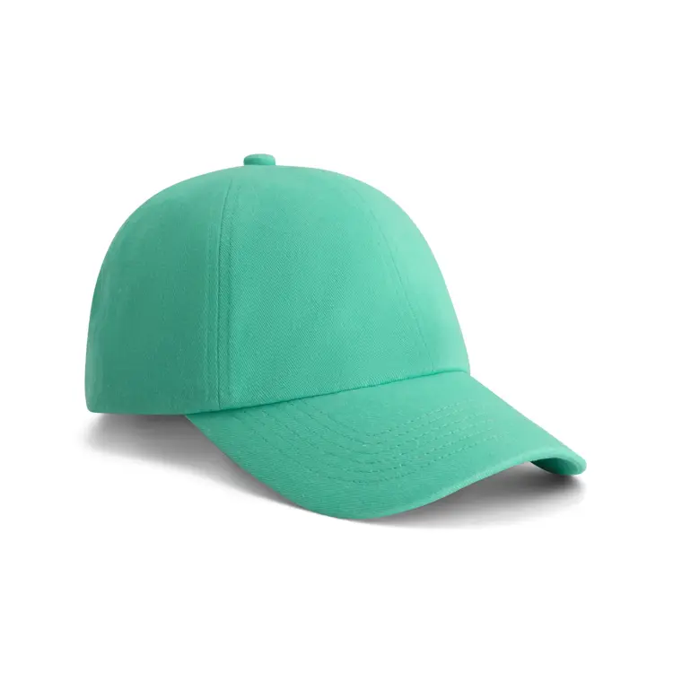 Bobby Heren - Baseball Cap - Pet