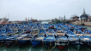 marokko_essaouira_haven_bootjes_beeldbank-kampeerreizen