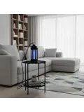 Elektrische Muggen- en vliegenlamp