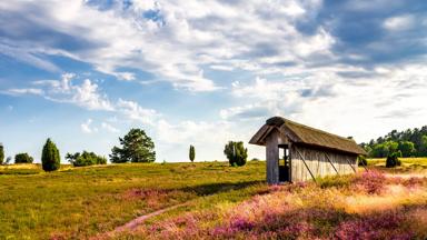 duitsland_nedersaksen_luneburger-heide_heide_hutje_GettyImages-926741108