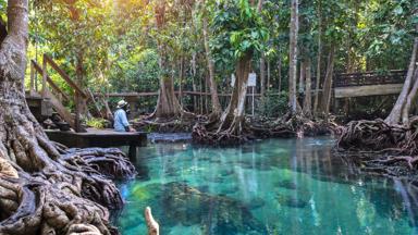 thailand_krabi_andamanse-zee_emerald-pool_b.jpg