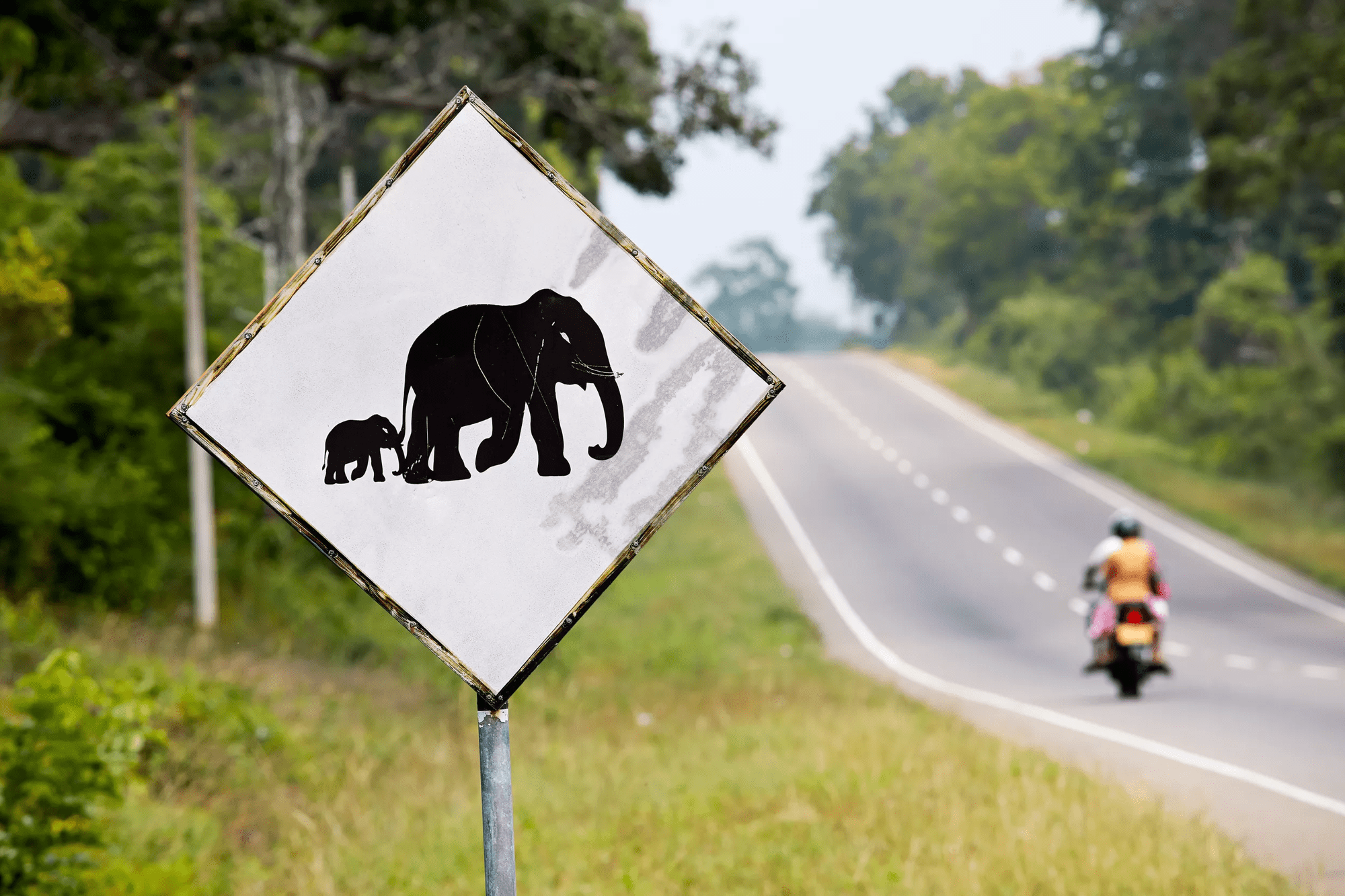 20-daagse privérondreis Natuurlijk Sri Lanka met gids/chauffeur afbeelding