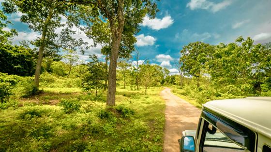 sri-lanka_yala-national-park_safari-jeep-bomen_shutterstock