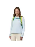 Patagonia Black Hole pack 25l