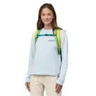 Patagonia Black Hole pack 25l