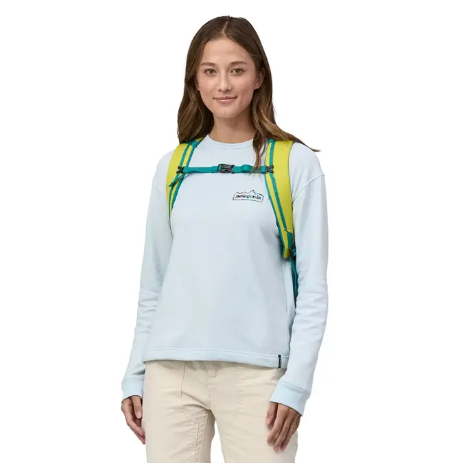 Patagonia Black Hole pack 25l