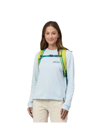 Patagonia Black Hole pack 25l