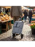 Boodschappenwagen 40L inklapbaar