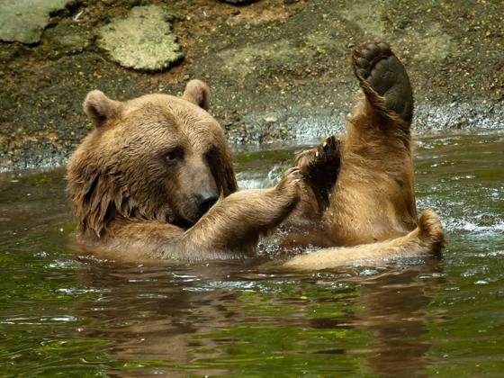 Impressie van Ouwehands Dierenpark