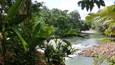 costa rica_puerto viejo de saraquipi_tirimbina rainforest_rivier_w