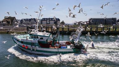 hotel_frankrijk_normandie_trouville_sur_mer_mercure_trouville_sfeer_vissersboot_h