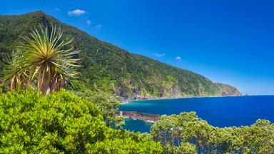 Beelden komen van Turismo do Portugal in Madeira.

Iedere foto heeft zijn eigen naam en copyright, die wij dienen te gebruiken.