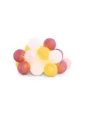 Outdoor Lichtslinger - Starter - Pasion