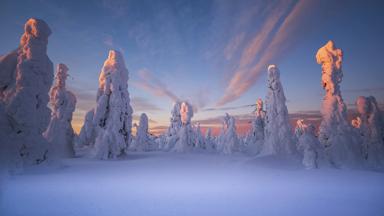 zweden_zweeds-lapland_winters-landschap_hakan stenlund